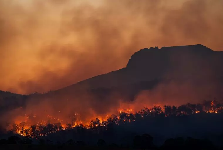 Incêndio florestal devido às ondas de calor e mudanças climáticas
