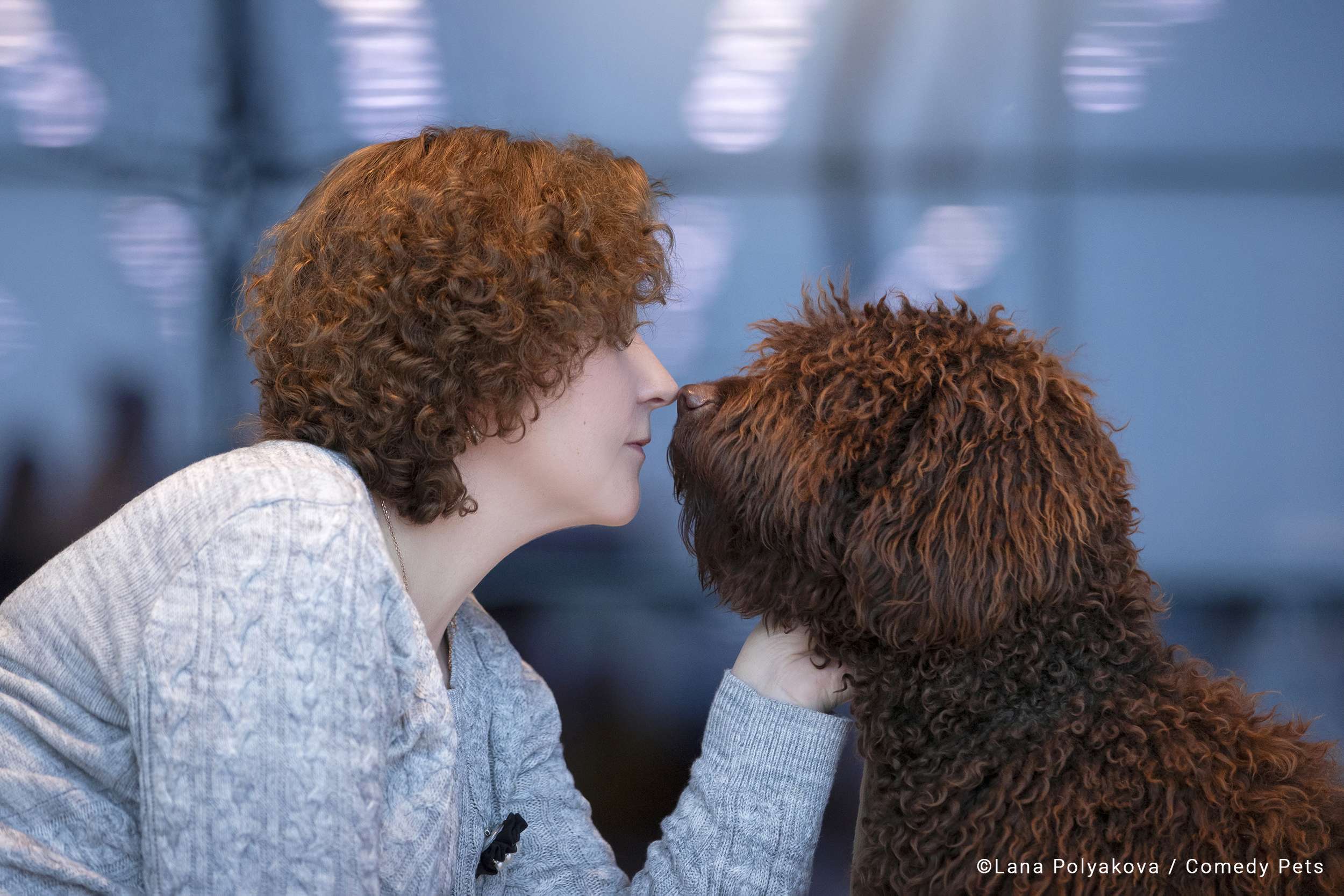 Beijinho de nariz entre dona e cãozinho com cabelos parecidos é finalista do Comedy Pet Awards