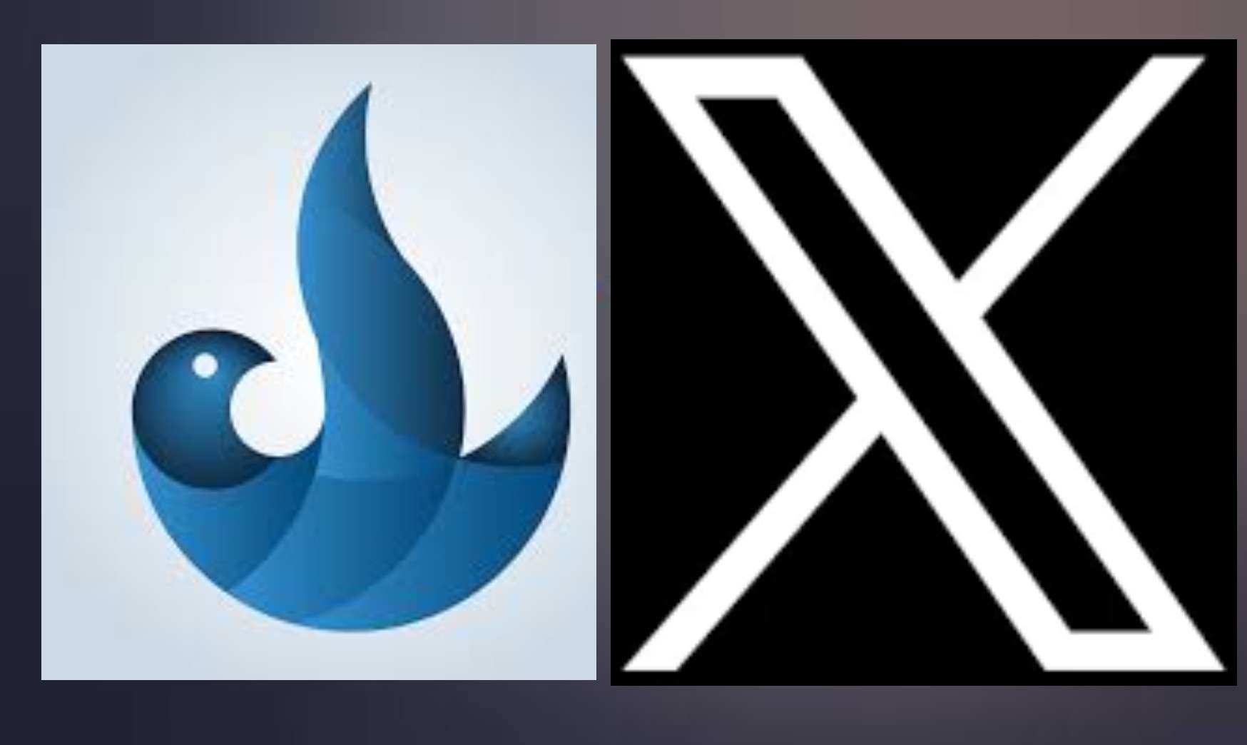 Rebranding Twitter X  