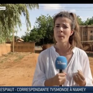 Jornalistas são vítimas de intimidação e agressões ao cobrirem golpe militar no Níger
