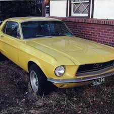 Mustang que inspirou campanha Setembro Amarelo contra o suicídio 