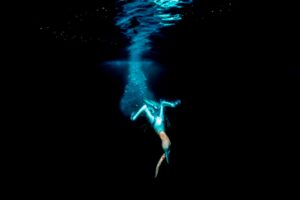 Ganso mergulha nas Ilhas de Noss, Escócia para pegar sua presa. A imagem foi premiada no concurso de fotos de oceano