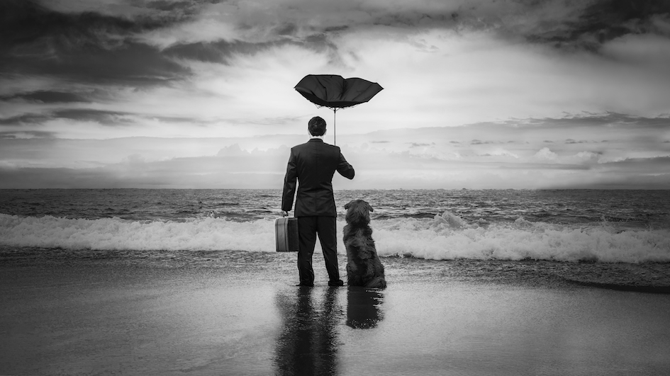 Homem de guarda-chuva com cachorro diante do mar, foto simbolizando a amizade entre cães e seus donos 