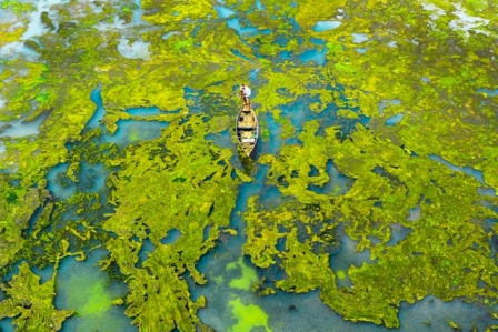 Lagoa com algas na ìndia. A foto foi premiada no concurso de fotos de meio ambiente