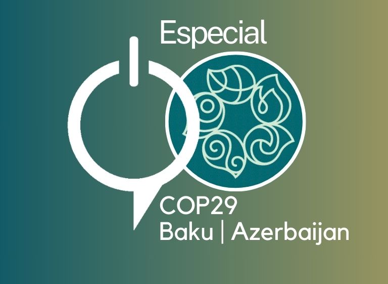 Edição especial MediaTalks COP29 noticias e análises sobre a conferência do clima da ONU