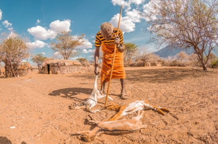 Pastor chora ao encontrar suas cabras mortas no Quênia. A imagem é uma das finalistas do concurso de fotografia ambiental