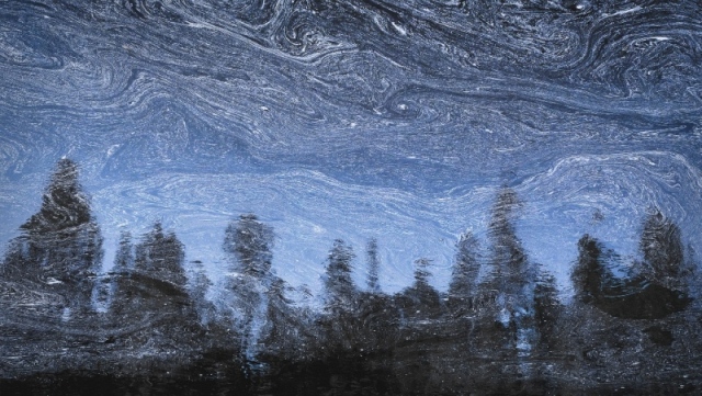 Espuma formando figuras abstratas e reflexo das árvores em lago no Oregon. A foto foi uma das vencedoras do concurso de fotografia de paisagem
