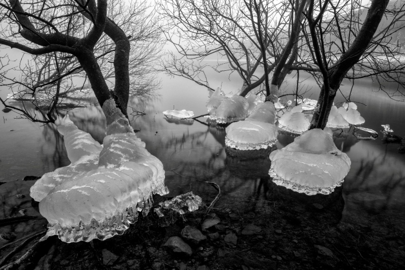 Árvores com 'botas de gelo' foi uma das fotos premiadas no concurso de fotografia de paisagem