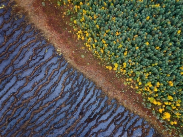 Foto aérea de turfeiras na Lapônia é uma das fotografias de paisagem premiada no concurso Natural Landscape Photography Awards