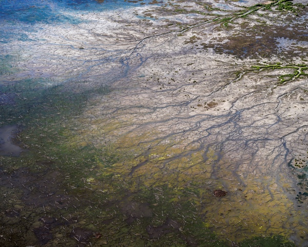 Imagem de pântano na Austrália destruído pela ação do homem. A foto foi uma das premiadas no concurso de fotografai de paisagem Natural Landscape Photography Awards