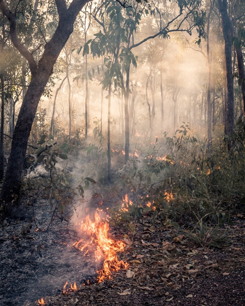 Foto de incêndio florestal na Austrália mostra uma cena cheia de fumaça inundada pela luz do sol. A imagem é uma das fotografias de paisagem premiadas no concurso Natural Landscape 