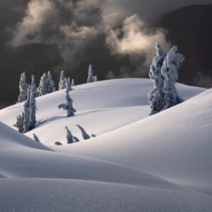 Céu noturno e paisagem coberta de neve é a foto da série premiada no NLPA 2023