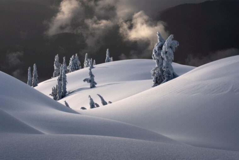 Céu noturno e paisagem coberta de neve é a foto da série premiada no NLPA 2023
