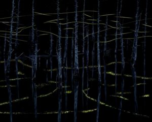 Um fundo escuro e traços luminosos capturados em em Ichinomata, província de Yamaguchi, Japão