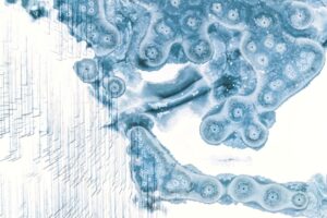 Gelo e água congelada. A foto foi feita no Lago Cuejdel, Romênia