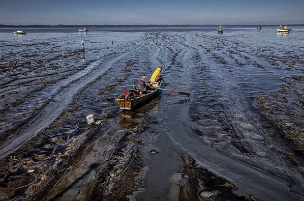 Pescador remando na lama do rio na colônia de pescadores da colônia Z-14, em Guaratiba, Rio de Janeiro. A foto foi uma das finalistas do Environmental Photographer of the year
