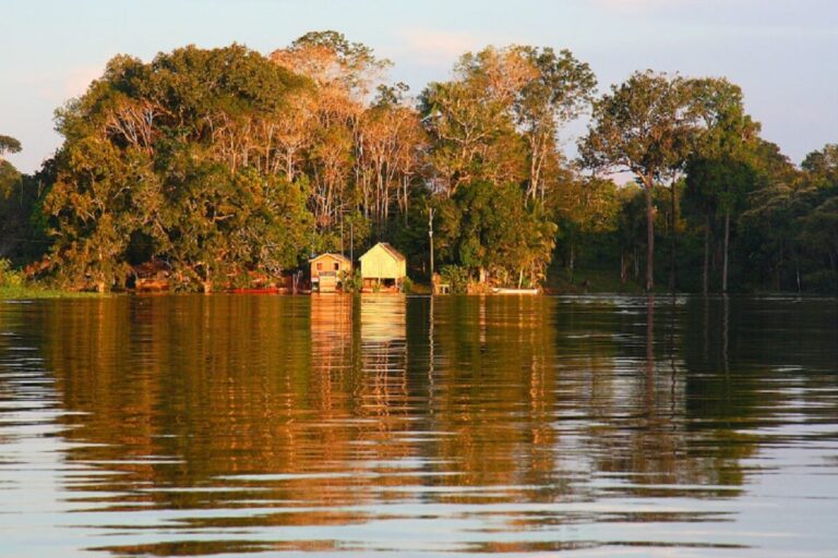 Casa ribeirinha na Amazônia