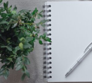 Caderno em branco com folhas verdes