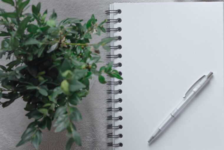 Caderno em branco com folhas verdes