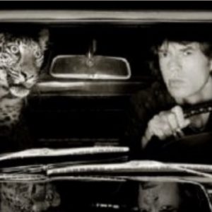 Mick Jagger com leopardo foto Albert Watson