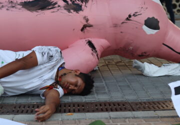 Escultura de Boto cor-de-rosa em protesto contra exploração de óleo na Amazônia durante a COP28