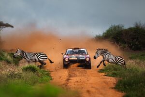 Carro durante um rali com zebras atravessando a pista de terra. A foto foi premiada na categoria esportes motorizados