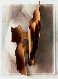 Casca de árvore sobre um autorretrato manipulado, é uma das imagens de Natureza Morta que concorre ao prêmio Sony Photography 