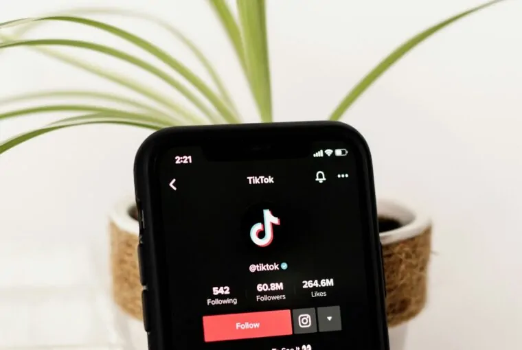 Smartophone com tela TikTok e natureza ao fundo