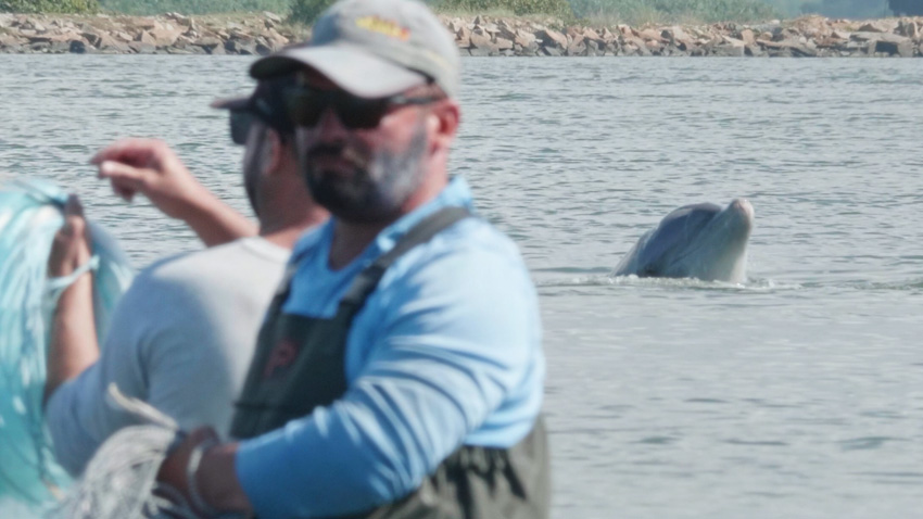 pescadores e golfinho - cena de The-Good-Dolphins- documentário brasileiro premiado