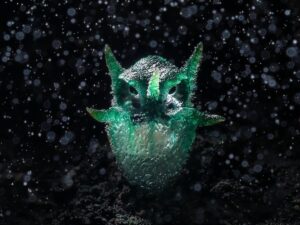 Fungo verde em forma de coruja, imagem premiada em concurso de fotografia de natureza 
