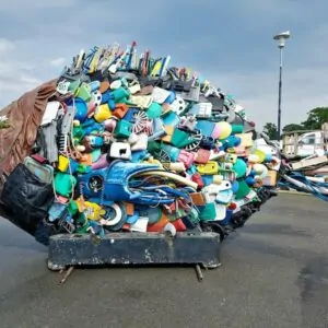 Escultura de peixe feita com lixo plástico, tema do Dia Mundial do Meio Ambiente 2025