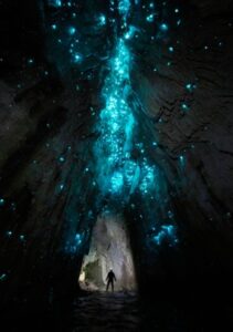 Vagalumes iluminam uma caverna. A imagem ganhou na categoria Natureza do prêmio Color Photography Contest x