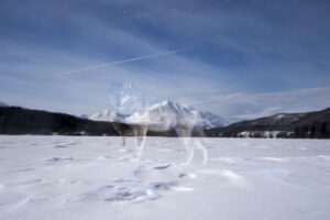 Lobos em uma área gelada do Canadá foi uma das fotos da série vencedora do prêmio Big Picture