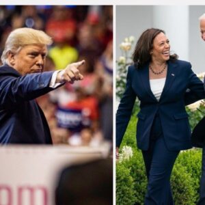Donald Trump, Kamala Harris e Joe Biden na campanha eleitoral dos EUA
