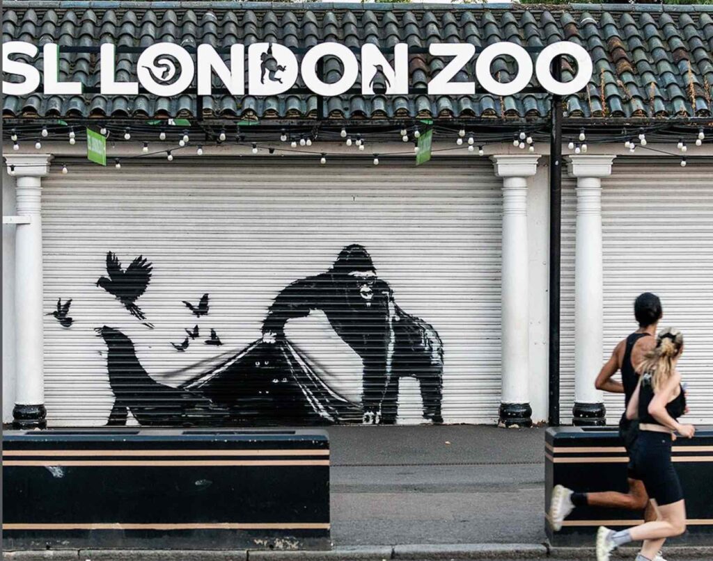 Banksy London Zoo Gorila libertando animais