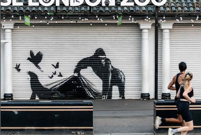 Banksy London Zoo Gorila libertando animais