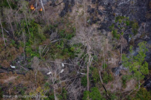 Greenpeace Brasil fez fotos mostrando queimadas da Amazônia 