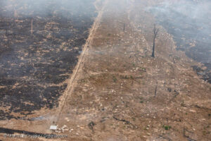 Foto do Greenpeace mostra queimadas na Amazônia 