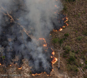 Foto do Greenpeace mostra queimadas na Amazônia