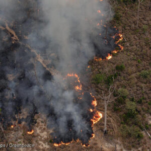 Foto do Greenpeace mostra queimadas na Amazônia