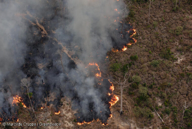 Foto do Greenpeace mostra queimadas na Amazônia