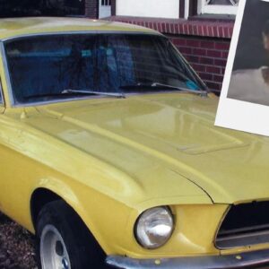 Mustang de Mike Emme, que inspirou a campanha Setembro Amarelo