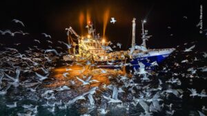 Barco de pesca cercado por peixes na Noruega foi premiada na categoria Oceanos do concurso de fotografia do Museu de História Natural de Londres