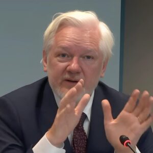 Julian Assange em depoimento em Estrasburgo