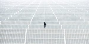 Pássaro pousado em cima de painéis solares. A imagem foi premiada na categoria Aves Urbanas do Bird Photographer of the year