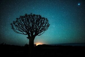 Parque dos Gigantes à noite, em Keetmanshoop, Namíbia