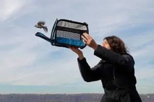 Mulher soltando aves. A imagem faz parte da série sobre aves migratórias premiada no concurso de fotografia de conservação