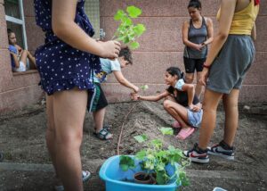 Mulheres e crianças plantando é uma das imagens finalistas no concurso de fotos da The European Environment Agency 