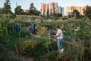 Uma horta construida na cidade. A imagem foi finalista no prêmio de fotos da natureza