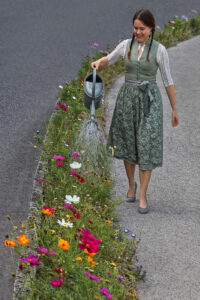 Mulher regando flores é uma das imagens finalistas do concurso de fotos da natureza urbhana